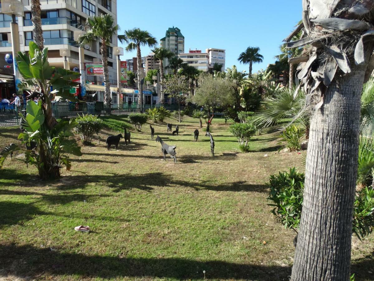 Apartment 2 bedrooms, 250m Levante beach Benidorm Buitenkant foto